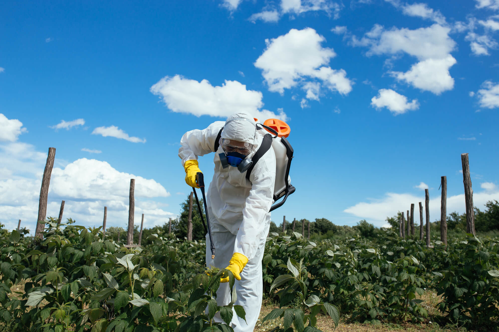 223398 Como E Por Que Construir Um Deposito De Defensivos Agricolas