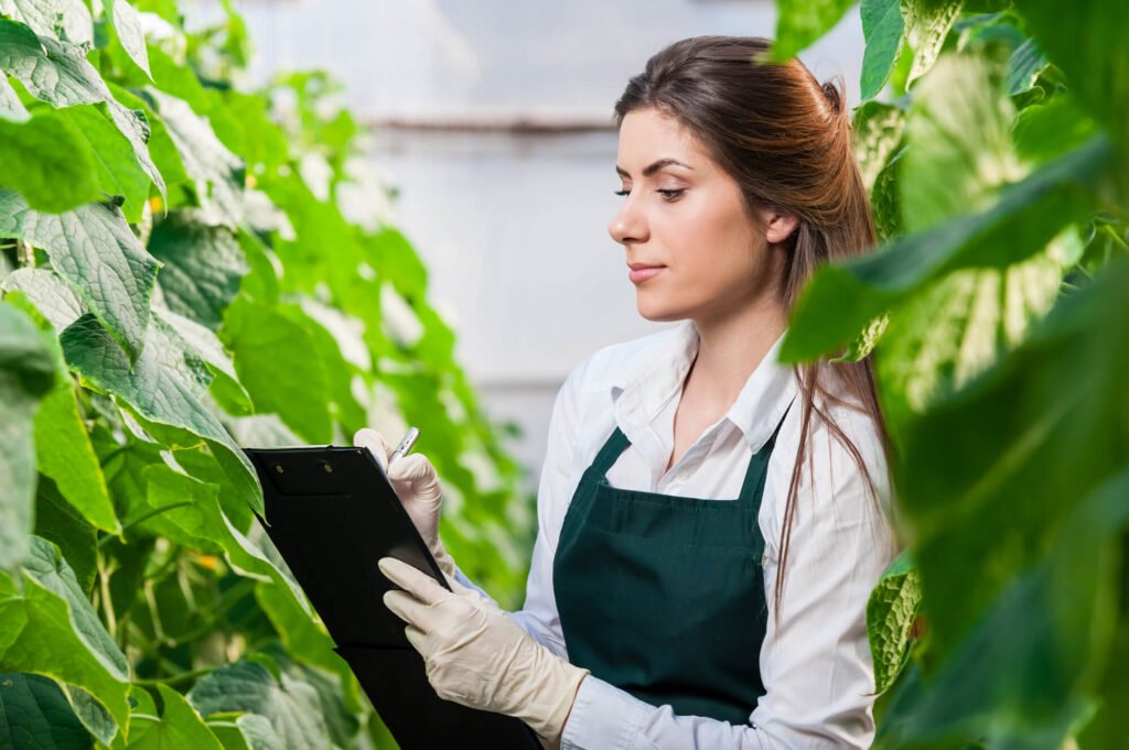 gerenciamento de equipe